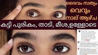 നാല് ആഴ്ചക്കുള്ളിൽ Thick Eyebrow amp Beard growthനേരിട്ട് പുരികം കിളർത് വരുന്നത് കാണാം😱 [upl. by Ahsenor]