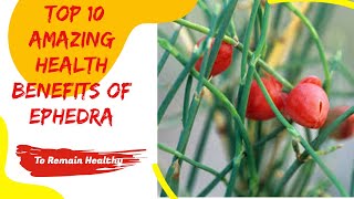 Top 10 Amazing Health Benefits Of Ephedra [upl. by Stan292]