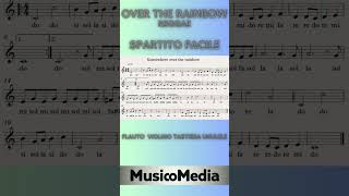 OVER THE RAINBOW reggae tutorial spartito facile flauto violino playalong short easyscore [upl. by Amargo]