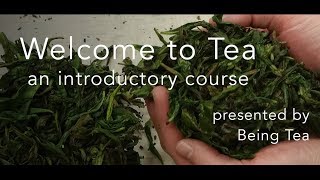 Welcome to Tea introductory course [upl. by Braun542]