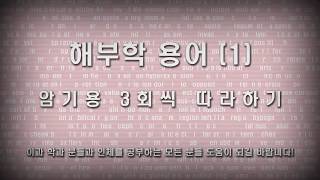 두뇌담그기 의학인체해부학 용어 영어단어 외우기1  216 [upl. by Calida]