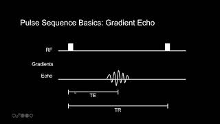 Introduction to MRI Basic Pulse Sequences TR TE T1 and T2 weighting [upl. by Anilas132]