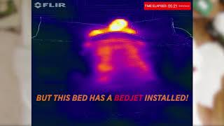 BedJet Cooling System for Beds  INFRA RED CAMERA [upl. by Notyalc557]