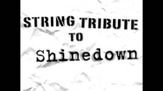 Shinedown Simple Man String Tribute [upl. by Legna]