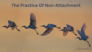 Non Attachment And How To Practice It  Abhyasa Vairagya [upl. by Annej]