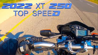 2022 Yamaha XT 250 TOP SPEED [upl. by Eseneg]