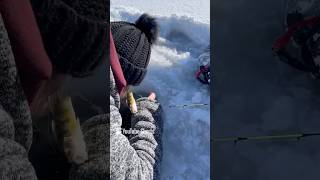 Ice fishing kind of fun [upl. by Briana]