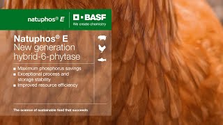 BASF’s Natuphos E – The new era of phytase [upl. by Werdn361]