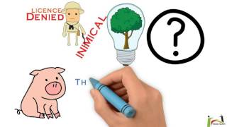 Why did Allah create the pig [upl. by Iad]