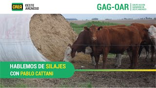 Hablemos de Silajes con Pablo Cattani  GAGOAR [upl. by Onaled]