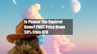 Is Peanut The Squirrel Done PNUT Price Down 50 From ATH [upl. by Nage]