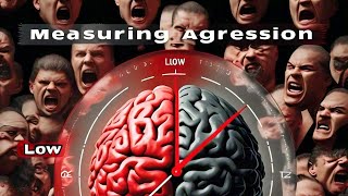 Aggression Scale by Km Roma Pal amp Mrs Tasneem Naqvi [upl. by Ottilie]