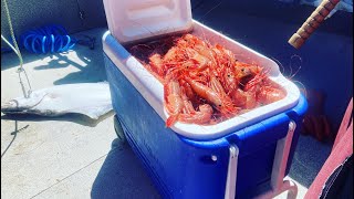 Prince of Wales Island Shrimping for giant Spot Prawns in Southeast Alaska [upl. by Annairoc]