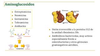 TETRACICLINAS AMINOGLUCOSIDOSvideo [upl. by Tiebold]