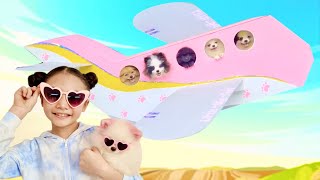 Airplane  Bugs Puppies Vacation Trip  Little Big Toys [upl. by Bambie910]