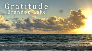 Brandon Lake  Gratitude All that I have is a hallelujah Lyrics timed for singing [upl. by Graybill489]