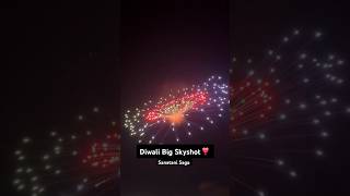 Diwali Crazy Experiment viralvideo fireworks crackerstesting diwalicelebration experiment [upl. by Hallutama]