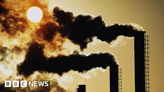 Climate summit opens with dire warnings about planet’s future  BBC News [upl. by Shandie]