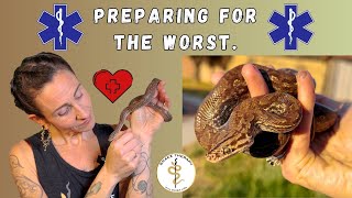 Emergency Preparedness for Pet Snakes Essential Tips amp First Aid Kit [upl. by Eillim334]