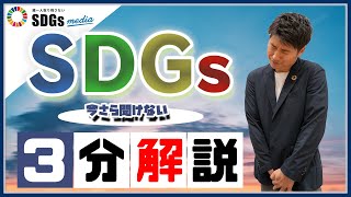 ビジネスパーソンがいまさら聞けない「SDGs」とは？3分解説 [upl. by Namurt220]