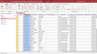 How to Work with Datasheet View in MS Access  Office 365 [upl. by Kylander]