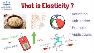 What is Elasticity  Principles of Economics  From A Business Professor [upl. by Odnanreh]