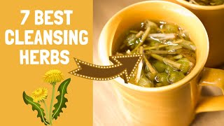 7 Strong Herbs For Natural Body Detox amp Cleanse Perfect for Tea [upl. by Essyla]