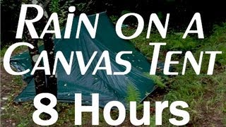 Rain on a Tent Sounds  8 Hour Long Relaxing Sounds for Sleep [upl. by Asilej317]