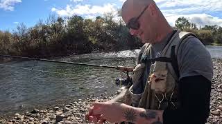 Goulburn River trout fishing out of Marysville on 914 May 2023 without Scott Xanthoulakis [upl. by Anilem]