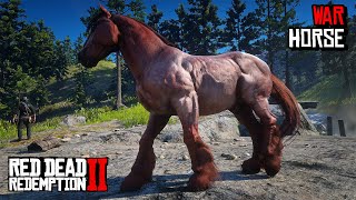 5 Best War Horses You Must OWN Location amp Rankings  RDR 2 [upl. by Zzabahs169]