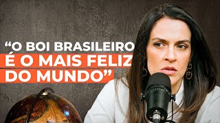 A falácia dos maustratos aos animais na pecuária brasileira [upl. by Triny]