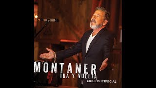 Ricardo Montaner  Te Hubieras Ido Antes Cover Audio [upl. by Simmie]