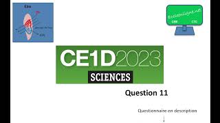 CE1D 2023 Sciences  question 11 [upl. by Martyn]