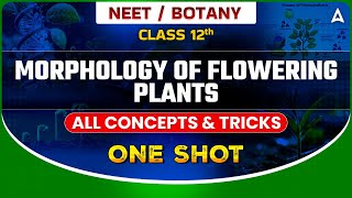 MORPHOLOGY OF FLOWERING PLANTS CLASS 12 ONE SHOT  NEET 2024  ALL CONCEPTS amp TRICKS SANKALP BHARAT [upl. by Falo]