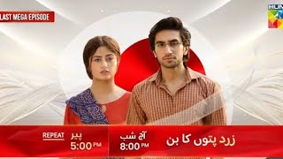 Zard patto ka Bunn Mega Last Episode 25 Teaser  Sajal Ali Hamza Suhail  Hum tv Drama [upl. by Nanam]