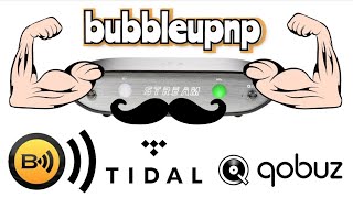 Qobuz con Bitperfect en Android con un Streamer  Llegó Papá [upl. by Ahsaetal]