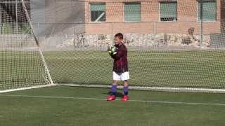 Goalkeeping Drills for the Beginner 12 [upl. by Anaujit]