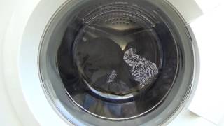 Currys Essentials C510WM13 Quick Wash Intense [upl. by Anwahs448]