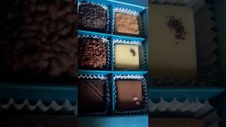 Sweet chocolate goodness  venchi chocolate  NYC goodies [upl. by Muslim]