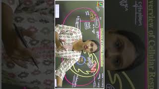 Respiration in Plants Class 11 Biology shorts [upl. by Cyn]