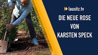 Zuwachs im Rosengarten Lübben Karsten Speck pflanzt eine quotArtemisquot [upl. by Annohsed]