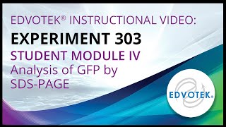 Edvotek Kit 303  Student Module IV  Analysis of GFP by SDSPAGE [upl. by Aneret]