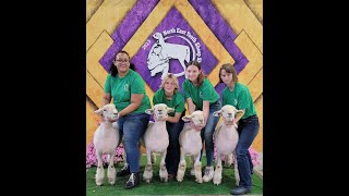 LHS Sheep Show Team [upl. by Mendy]