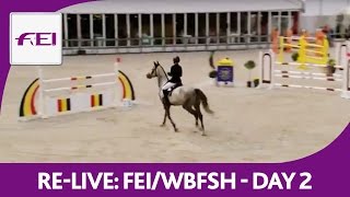 ReLive  FEIWBFSH  World Breeding Jumping Chps f Young Horses  6yearold horses [upl. by Sirmons]