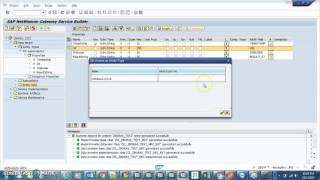 SAP Gateway Create Odata service using RFC [upl. by Ameerahs569]