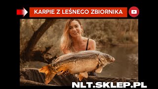 Karpie z leśnej wody  NLTSKLEPPL [upl. by Enilraep]