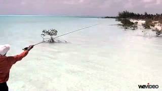 Casting 1  Capt Shawn Leadon  Bonefishing  Andros Island Bonefish Club [upl. by Talanian]