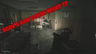 Scavs SHOCKING Downtime Habits You Need to Know [upl. by Hsekar]