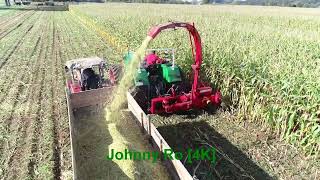 Historische Maisernte in Gebrazhofen 2024 Teil 1 mit Deutz Schlüter Case Fendt 4K [upl. by Boiney]