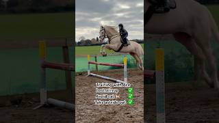 Training with Ace is always fun horse showjumping equestrian horselover horsegirl pony [upl. by Zelikow]